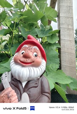 IMG_20250712_083632.jpg