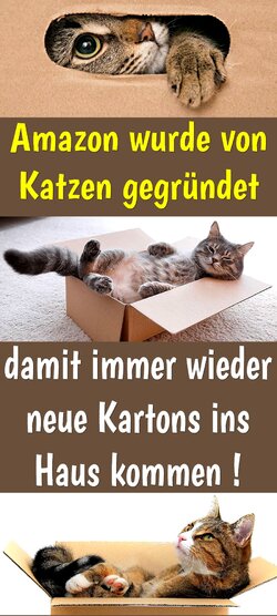 katamaz.jpg