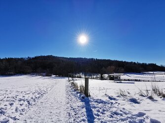 IMG_20210214_114309.jpg