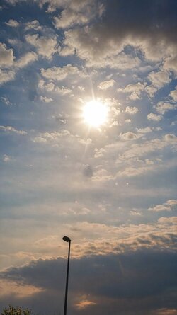 IMG_20250712_131734.jpg
