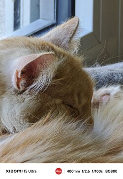 IMG_20250712_183151.jpg