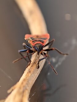 IMG_20250712_133828.jpg