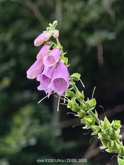 IMG_20250712_182816.jpg