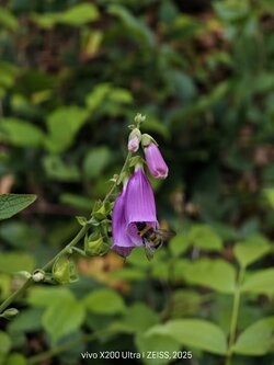 IMG_20250712_182912.jpg