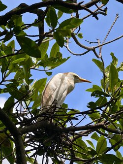 IMG_20250711_131623.jpg