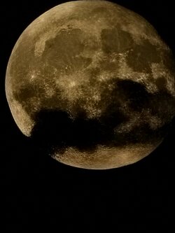 IMG20250712231851~2.jpg