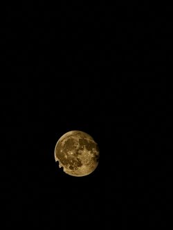 IMG20250712231818~2.jpg
