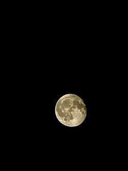 IMG20250713001413~2.jpg