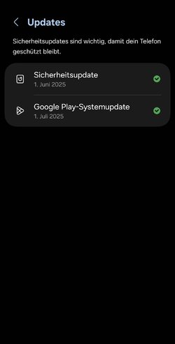 Screenshot_20250713_091712_Settings.jpg