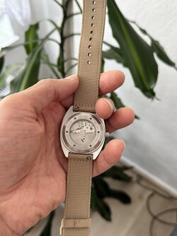 IMG_2803.jpeg
