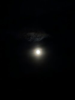 PXL_20250711_230825503.jpg