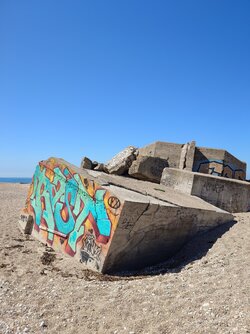 20250712_160244210.JPG