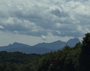 IMG_1612.jpeg