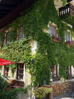 IMG_1627.jpeg