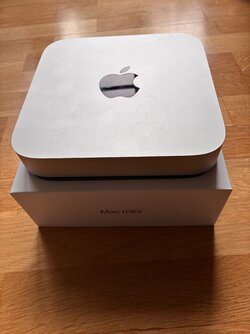 IMG_3025.jpeg