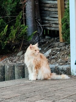 IMG20250712202009~2.jpg