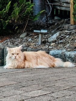 IMG20250712202032~2.jpg