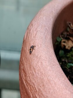 IMG20250713171320~2.jpg