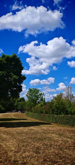 IMG_20250712_125312.jpg