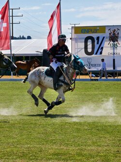 IMG_20250713_153826.jpg