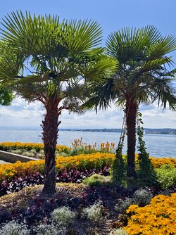 IMG_20250713_130230.jpg