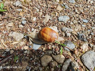 IMG_20250713_103329.jpg