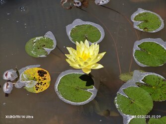 IMG_20250712_150954.jpg
