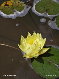 IMG_20250711_150119.jpg