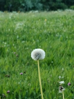 IMG20250713205438~2.jpg