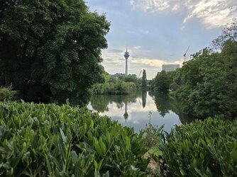 20250713_193949.jpg
