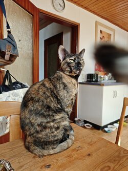 IMG_20250710_161943.jpg