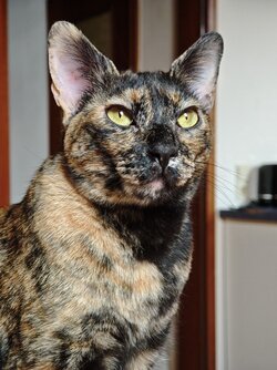 IMG_20250708_184322.jpg