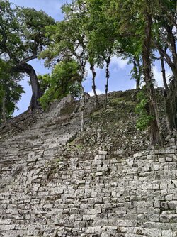 IMG_20250713_102525.jpg
