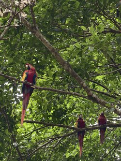 IMG_20250713_111320.jpg