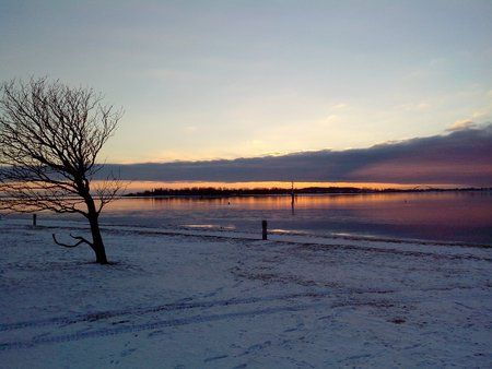 IMG_20130213_165447.jpg
