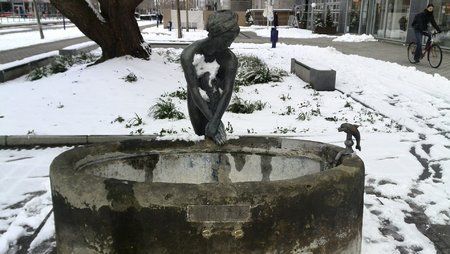IMG_20130209_160419.jpg