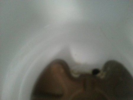 uploadfromtaptalk1361100953784.jpg
