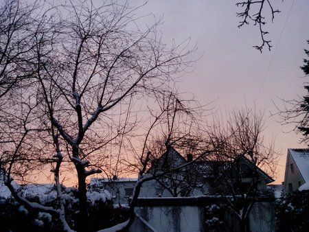 IMG_20130122_163302.jpg