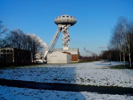 IMG_20130210_155307.jpg