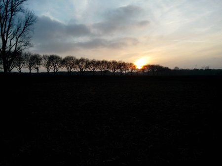 IMG_20130217_172859.jpg