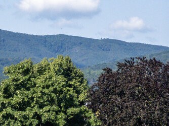 IMG_20250715_103152-Ausschnitt_Original.jpg