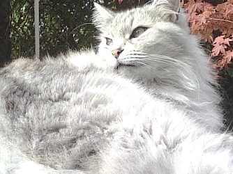 20130921130526.jpg
