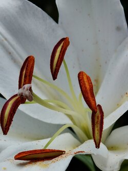 IMG20250715143321~2.jpg