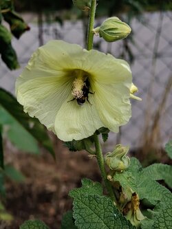 IMG20250715143356~2.jpg