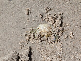 IMG_20250703_121250.jpg
