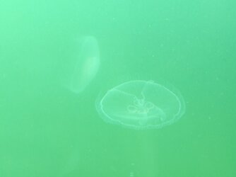 IMG_20250703_111402.jpg
