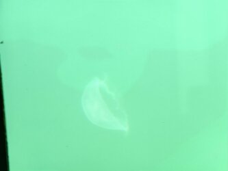 IMG_20250703_111329.jpg