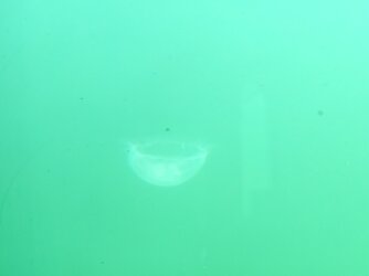 IMG_20250703_111322.jpg