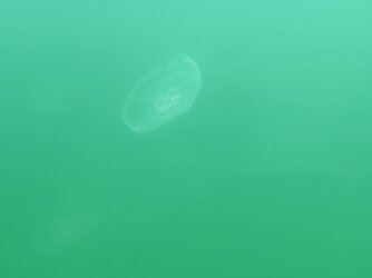 IMG_20250703_111313.jpg