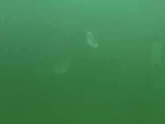 IMG_20250703_111253.jpg